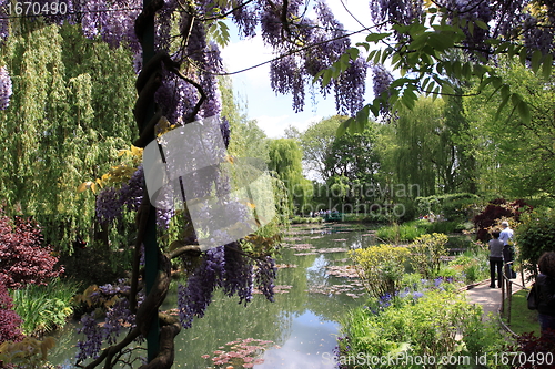 Image of river in the garden