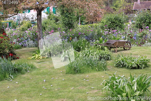 Image of flower garden in spring