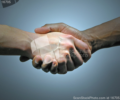 Image of Highlighted Hand Shake