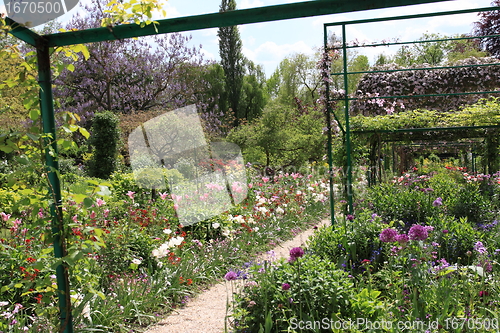 Image of flower garden in spring