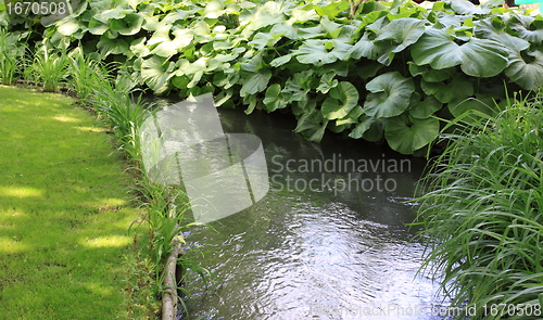 Image of river in the garden