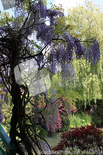 Image of flower garden in spring