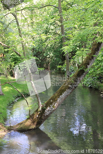 Image of river in the garden