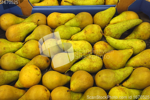 Image of Pear display, étalage de poires