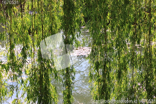 Image of river in the garden