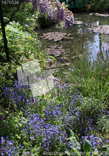 Image of river in the garden