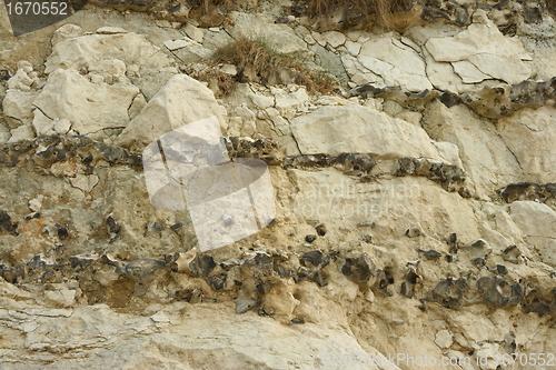 Image of cliffs of Normandy in France