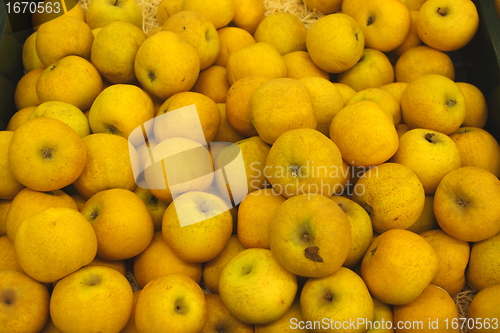 Image of Apple display, étalage de pommes