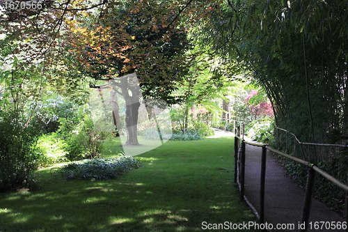 Image of flower garden in spring