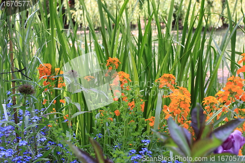 Image of river in the garden