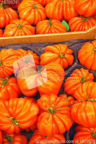 Image of Display tomato