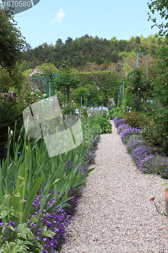 Image of flower garden in spring