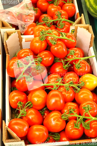 Image of Display tomato