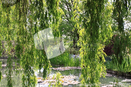 Image of river in the garden