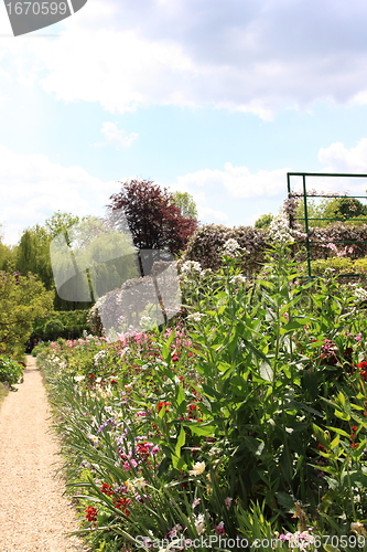 Image of flower garden in spring