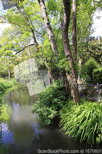 Image of river in the garden