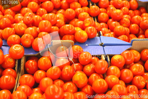 Image of Display tomato