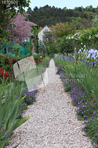 Image of flower garden in spring