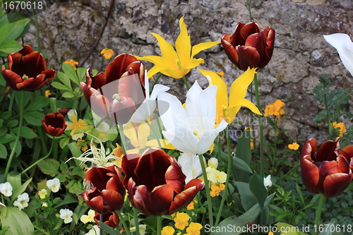 Image of flower garden in spring