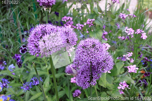 Image of flower garden in spring