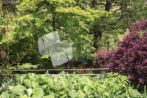 Image of flower garden in spring