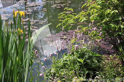 Image of river in the garden