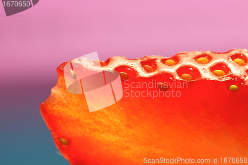 Image of strawberry close up