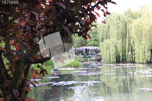 Image of river in the garden