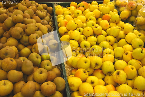 Image of Apple display, étalage de pommes