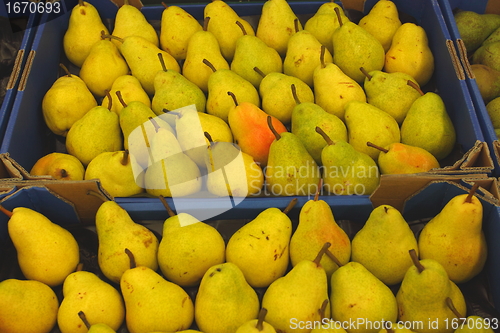 Image of Pear display, étalage de poires