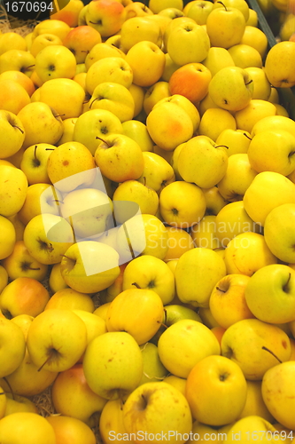 Image of Apple display, étalage de pommes