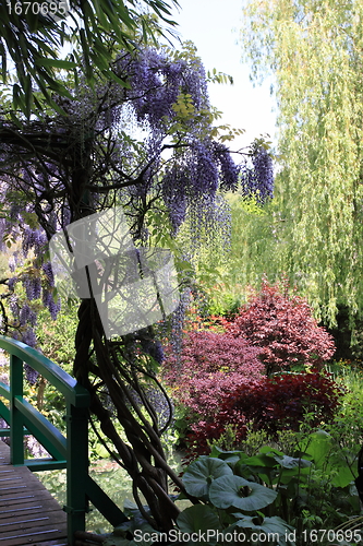 Image of flower garden in spring