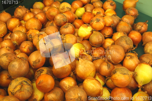 Image of Display onion, etalage d oignons