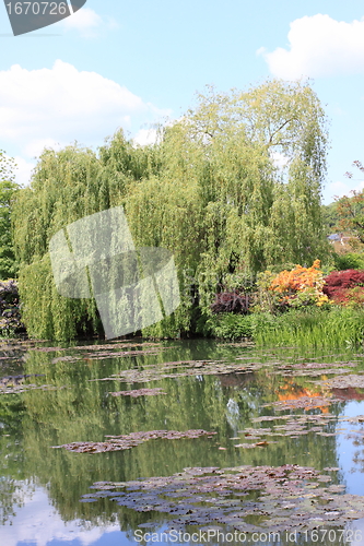 Image of river in the garden