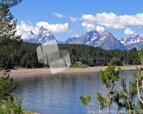 Image of Jenny Lake