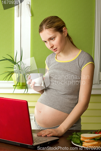 Image of tender pregnant female with laptop