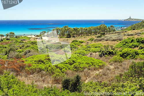 Image of Panoramic view of Sardinia
