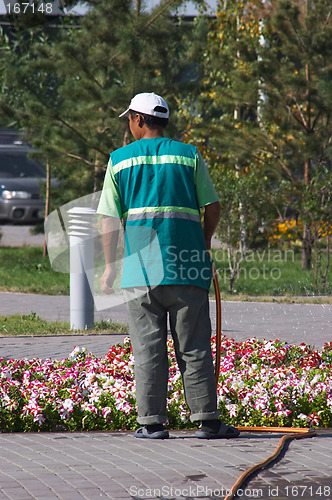 Image of Men irrigate flowerbed