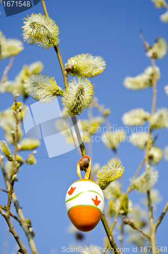 Image of Easter egg hang on kittens branch in spring. 