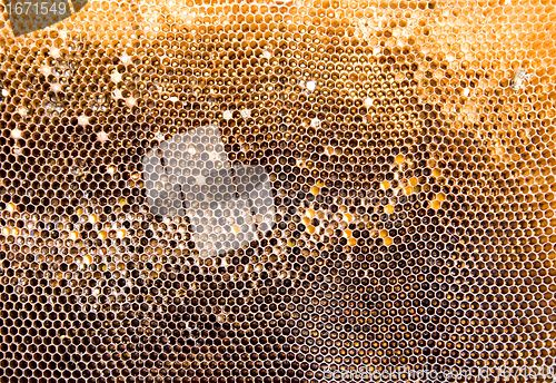 Image of Honeycomb mesh 