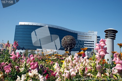 Image of Flowers and office building