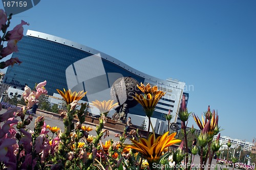 Image of Flowers and office building