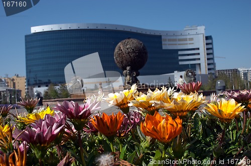Image of Flowers and office building