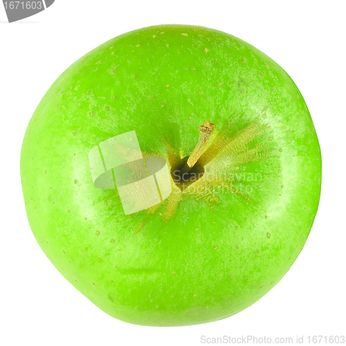 Image of Granny Smith Apple