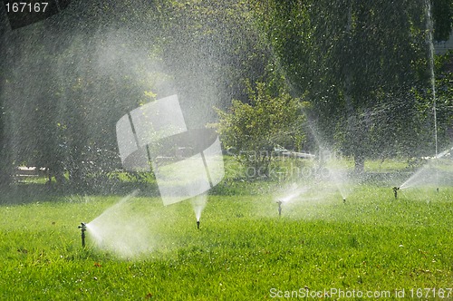 Image of Irrigation