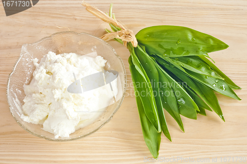 Image of wild garlic and gourd