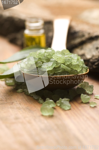 Image of Aloe vera with bath salt and massage oil