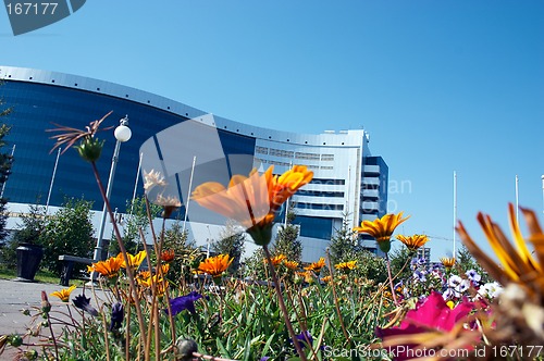 Image of Flowers and office building