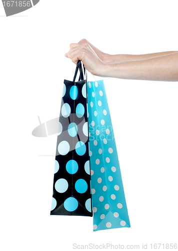 Image of Female hand holding shopping bags