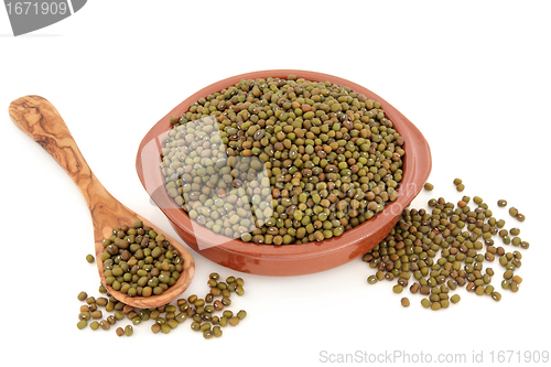 Image of Mung Beans